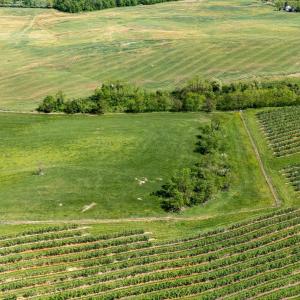 Photo #5 of TBD VETTERS RD, TIMBERVILLE, VA 5.0 acres