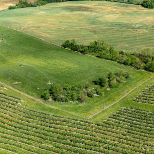 Photo #4 of TBD VETTERS RD, TIMBERVILLE, VA 5.0 acres