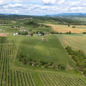 Photo #14 of TBD VETTERS RD, TIMBERVILLE, VA 5.0 acres