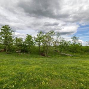 Photo #61 of TBD VETTERS RD, TIMBERVILLE, VA 5.0 acres