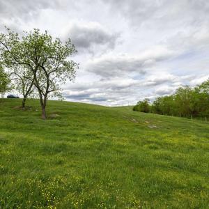 Photo #56 of TBD VETTERS RD, TIMBERVILLE, VA 5.0 acres