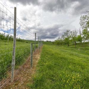 Photo #57 of TBD VETTERS RD, TIMBERVILLE, VA 5.0 acres
