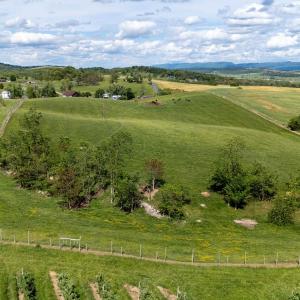 Photo #34 of TBD VETTERS RD, TIMBERVILLE, VA 5.0 acres