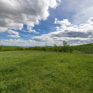 Photo #49 of TBD VETTERS RD, TIMBERVILLE, VA 5.0 acres