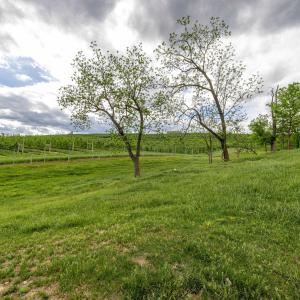 Photo #55 of TBD VETTERS RD, TIMBERVILLE, VA 5.0 acres