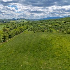 Photo #25 of TBD VETTERS RD, TIMBERVILLE, VA 5.0 acres