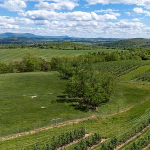 Photo #31 of TBD VETTERS RD, TIMBERVILLE, VA 5.0 acres