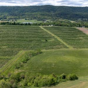 Photo #11 of TBD VETTERS RD, TIMBERVILLE, VA 5.0 acres
