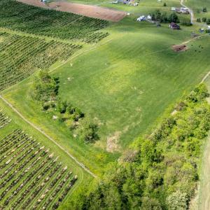 Photo #2 of TBD VETTERS RD, TIMBERVILLE, VA 5.0 acres