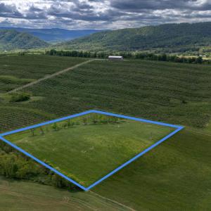 Photo #21 of TBD VETTERS RD, TIMBERVILLE, VA 5.0 acres