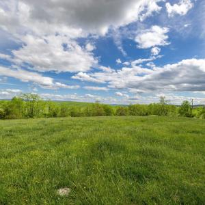 Photo #70 of TBD VETTERS RD, TIMBERVILLE, VA 5.0 acres
