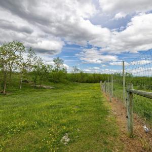 Photo #62 of TBD VETTERS RD, TIMBERVILLE, VA 5.0 acres
