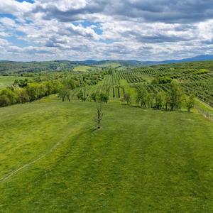 Photo #26 of TBD VETTERS RD, TIMBERVILLE, VA 5.0 acres