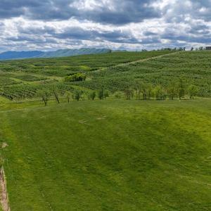 Photo #24 of TBD VETTERS RD, TIMBERVILLE, VA 5.0 acres