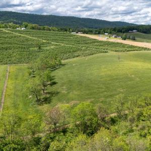 Photo #37 of TBD VETTERS RD, TIMBERVILLE, VA 5.0 acres