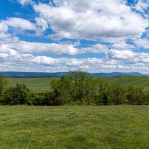 Photo #44 of TBD VETTERS RD, TIMBERVILLE, VA 5.0 acres