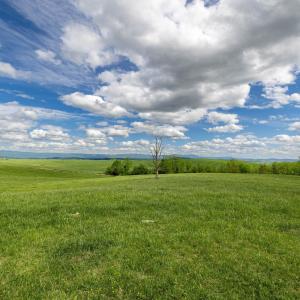 Photo #50 of TBD VETTERS RD, TIMBERVILLE, VA 5.0 acres