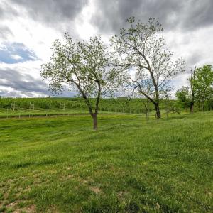 Photo #54 of TBD VETTERS RD, TIMBERVILLE, VA 5.0 acres