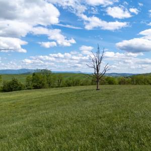 Photo #46 of TBD VETTERS RD, TIMBERVILLE, VA 5.0 acres
