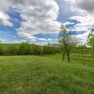 Photo #53 of TBD VETTERS RD, TIMBERVILLE, VA 5.0 acres