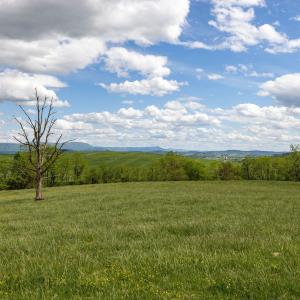 Photo #51 of TBD VETTERS RD, TIMBERVILLE, VA 5.0 acres