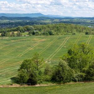 Photo #27 of TBD VETTERS RD, TIMBERVILLE, VA 5.0 acres