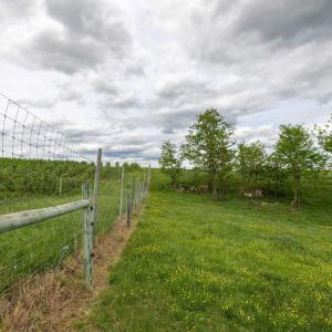 Photo #60 of TBD VETTERS RD, TIMBERVILLE, VA 5.0 acres