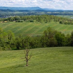 Photo #30 of TBD VETTERS RD, TIMBERVILLE, VA 5.0 acres