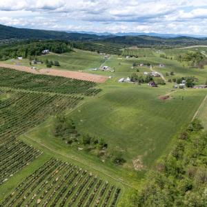 Photo #13 of TBD VETTERS RD, TIMBERVILLE, VA 5.0 acres