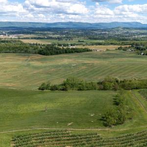 Photo #17 of TBD VETTERS RD, TIMBERVILLE, VA 5.0 acres