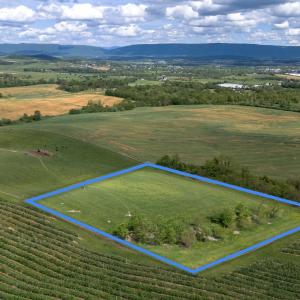 Photo #15 of TBD VETTERS RD, TIMBERVILLE, VA 5.0 acres