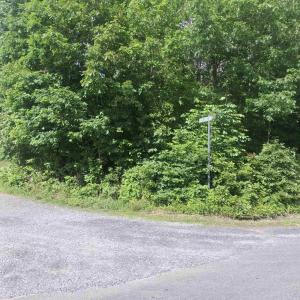 Photo #2 of TBD LIBERTY RD, NEW CANTON, VA 11.6 acres