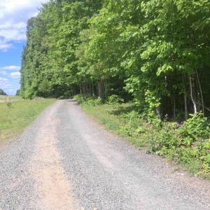 Photo #4 of TBD LIBERTY RD, NEW CANTON, VA 11.6 acres