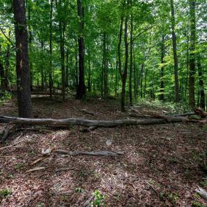 Photo #16 of TBD HALF MILE BRANCH RD, CROZET, VA 3.0 acres