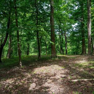 Photo #17 of TBD HALF MILE BRANCH RD, CROZET, VA 3.0 acres