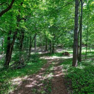 Photo #4 of TBD HALF MILE BRANCH RD, CROZET, VA 3.0 acres