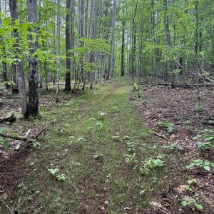 Photo #2 of TBD RABBIT VALLEY RD, NORTH GARDEN, VA 58.5 acres