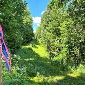 Photo #9 of TBD OVERLOOK MOUNTAIN RD, ELKTON, VA 6.7 acres