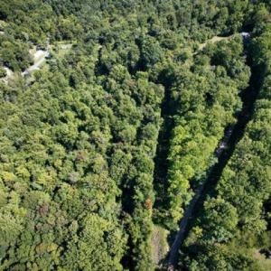 Photo #26 of TBD OVERLOOK MOUNTAIN RD, ELKTON, VA 6.7 acres