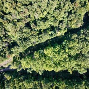 Photo #27 of TBD OVERLOOK MOUNTAIN RD, ELKTON, VA 6.7 acres