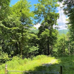 Photo #7 of TBD OVERLOOK MOUNTAIN RD, ELKTON, VA 6.7 acres