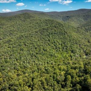 Photo #23 of TBD OVERLOOK MOUNTAIN RD, ELKTON, VA 6.7 acres