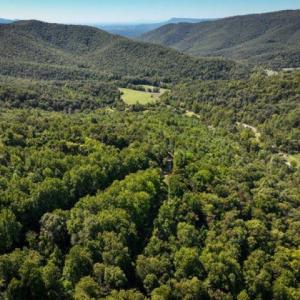 Photo #18 of TBD OVERLOOK MOUNTAIN RD, ELKTON, VA 6.7 acres