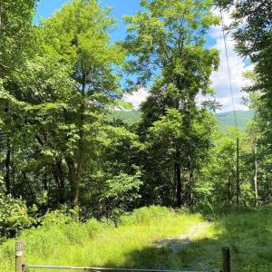 Photo #10 of TBD OVERLOOK MOUNTAIN RD, ELKTON, VA 6.7 acres