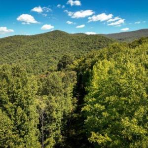 Photo #24 of TBD OVERLOOK MOUNTAIN RD, ELKTON, VA 6.7 acres