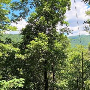 Photo #8 of TBD OVERLOOK MOUNTAIN RD, ELKTON, VA 6.7 acres
