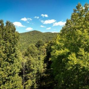 Photo #35 of TBD OVERLOOK MOUNTAIN RD, ELKTON, VA 6.7 acres