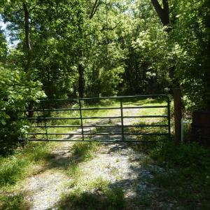 Photo #2 of MT PARAN CHURCH RD, ELKTON, VA 8.2 acres