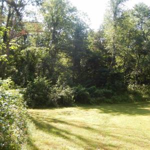 Photo #12 of MT PARAN CHURCH RD, ELKTON, VA 8.2 acres