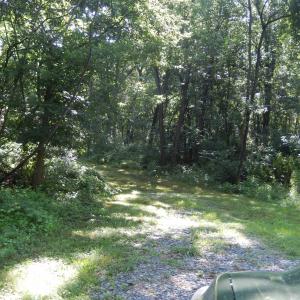 Photo #10 of MT PARAN CHURCH RD, ELKTON, VA 8.2 acres